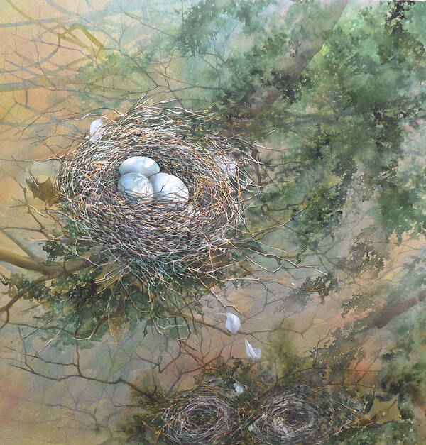 Bird Nest Poster featuring the painting Expecting Again by Maryann Boysen