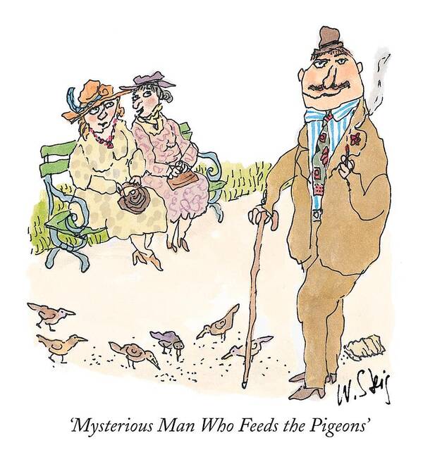 Birds - Pigeons Poster featuring the drawing 'mysterious Man Who Feeds The Pigeons' by William Steig