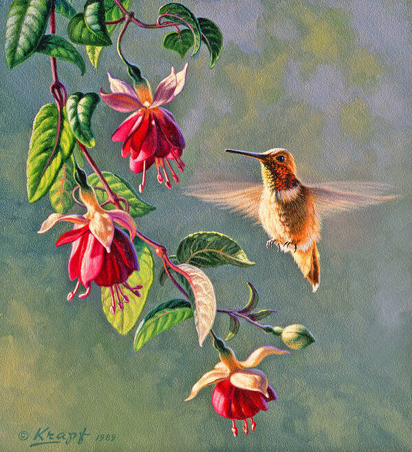 Wildlife Poster featuring the painting Rufous and Fuschia by Paul Krapf