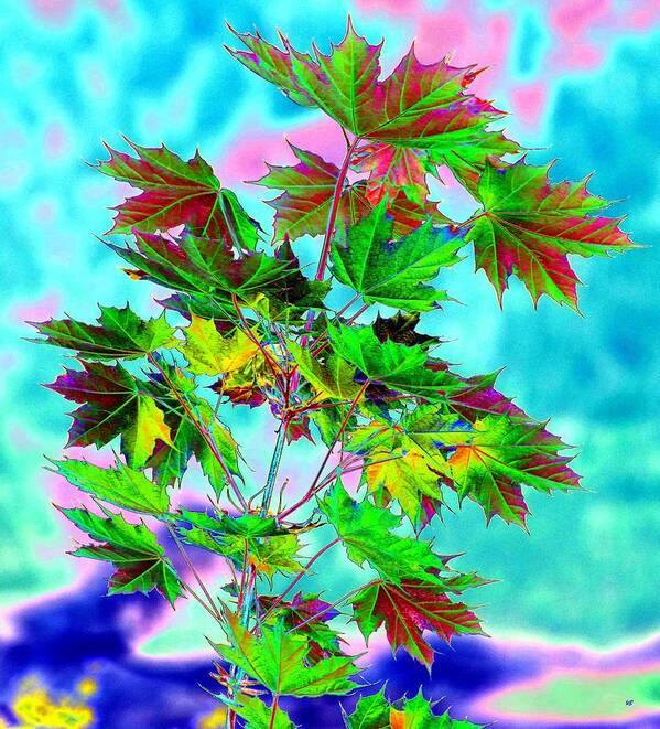 Spring Maple Leaf Design Poster featuring the digital art Spring Maple Leaf Design by Will Borden