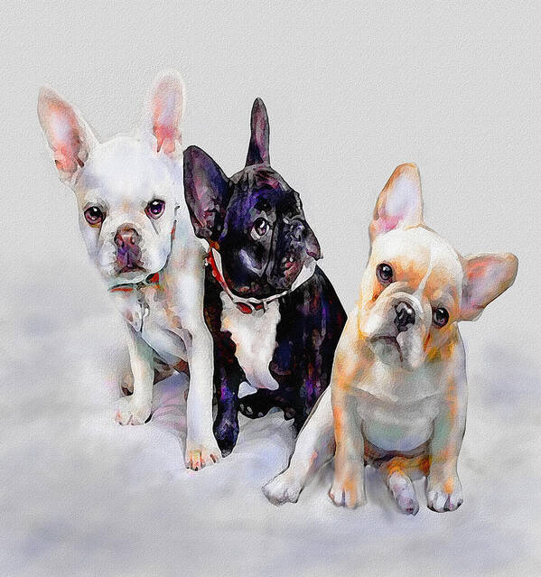French Bulldog Poster featuring the digital art Three Frenchie Puppies by Jane Schnetlage