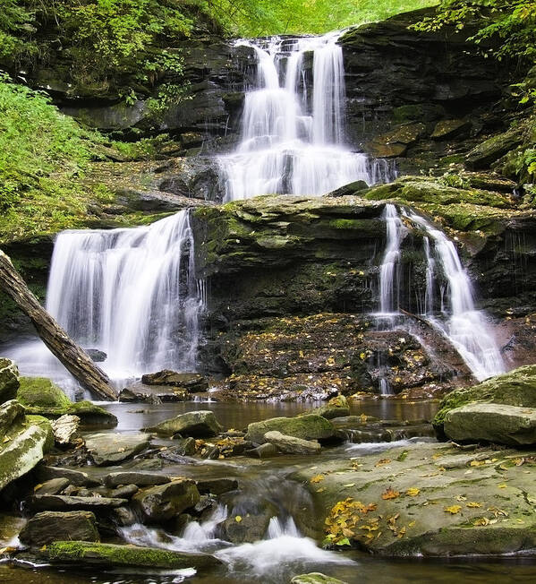 Ricketts Glen Poster featuring the photograph Tuscarora Falls by Paul Riedinger