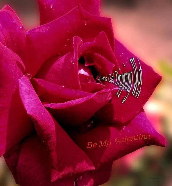 St. Valentine Poster featuring the photograph Valentine Dripping Wet by Thomas Woolworth