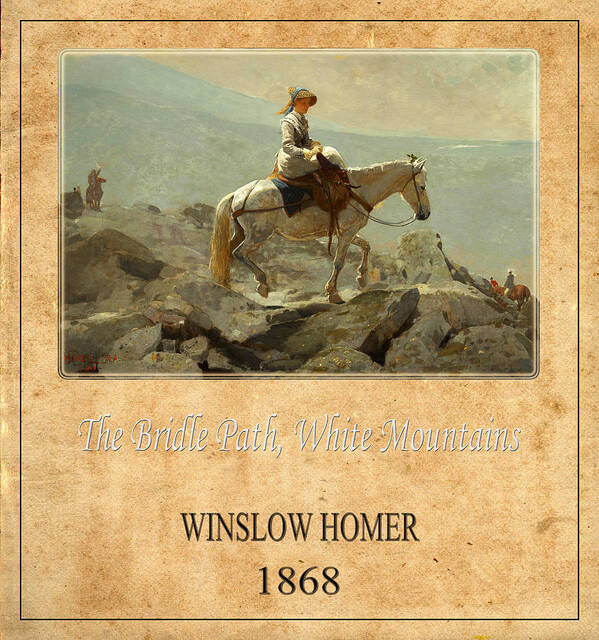 Homer Poster featuring the photograph Winslow Homer 5 by Andrew Fare