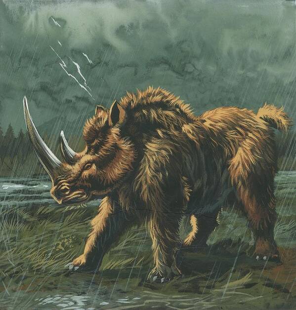 Nobody Poster featuring the photograph Woolly Rhinoceros by Deagostini/uig