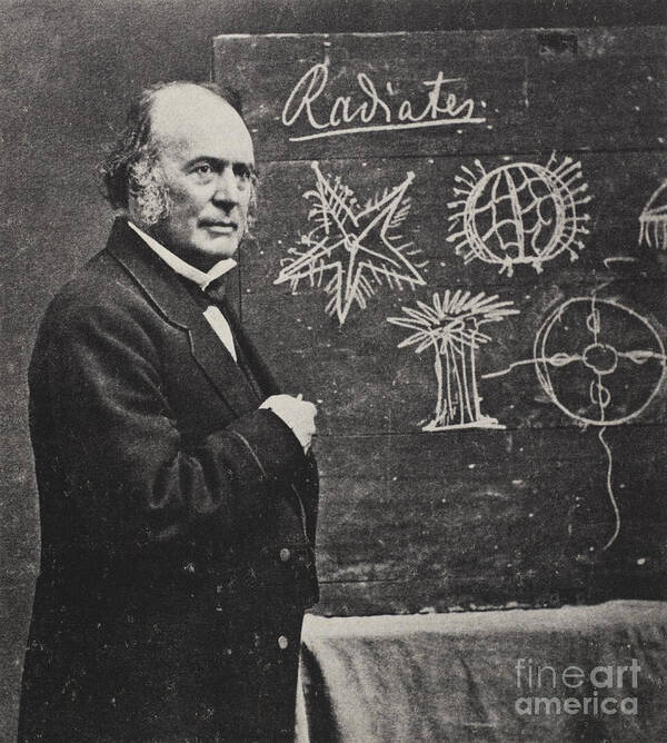 Science Poster featuring the photograph Louis Agassiz, Swiss-american Polymath #3 by Science Source