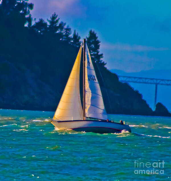 Painted Sails Poster featuring the photograph Painted Sails by Mitch Shindelbower