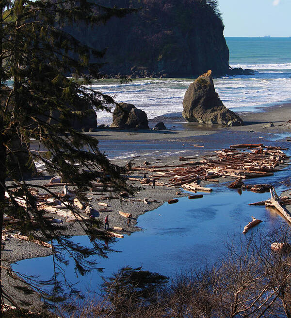 Sea Poster featuring the photograph Ruby Beach III by Jeanette C Landstrom