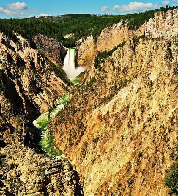Yellowstone National Park Poster featuring the photograph Yellowstone Grand Canyon by Greg Norrell