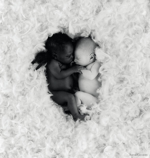 Black And White Poster featuring the photograph Angels by Anne Geddes