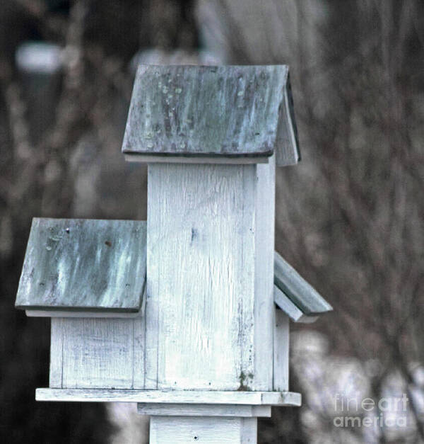 Bird House Poster featuring the photograph Bird Abode by Dianne Morgado