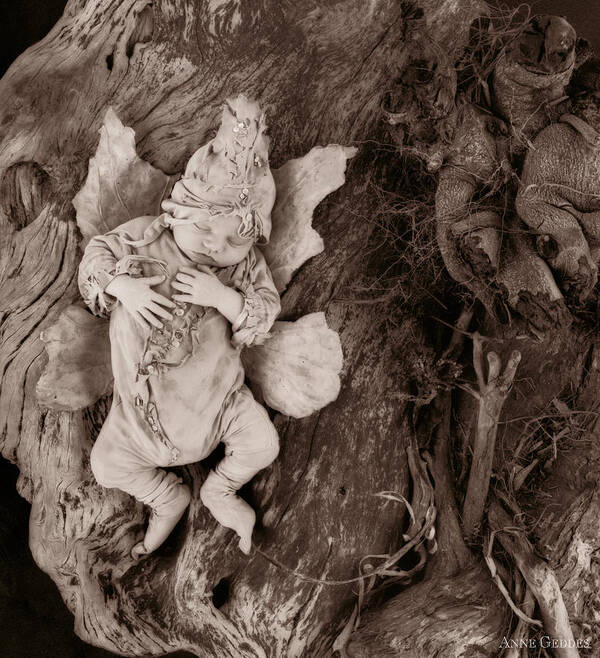 Sepia Poster featuring the photograph Driftwood Fairy by Anne Geddes
