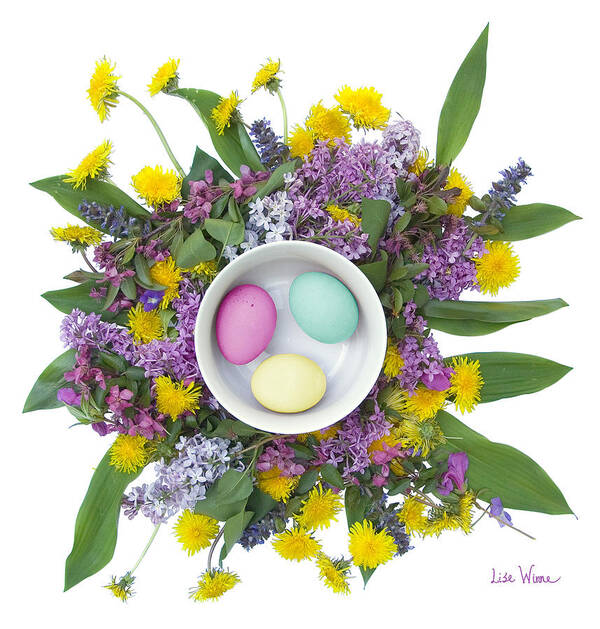 Lise Winne Poster featuring the digital art Eggs in a Bowl by Lise Winne