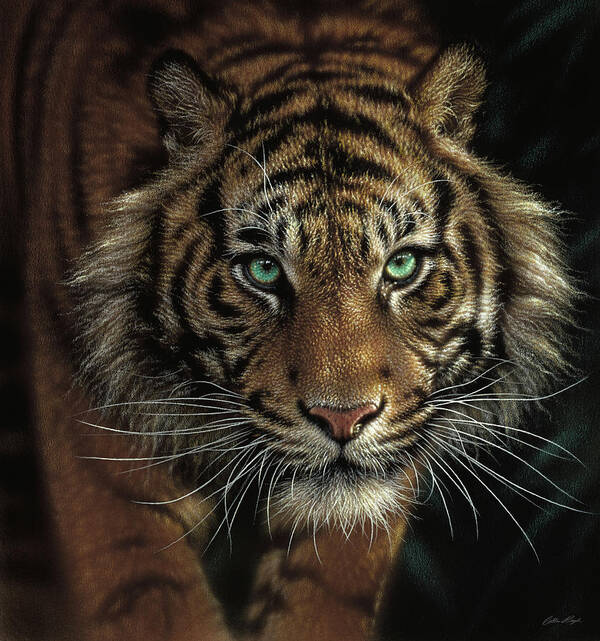 Tiger Art Poster featuring the painting Eye of the Tiger by Collin Bogle