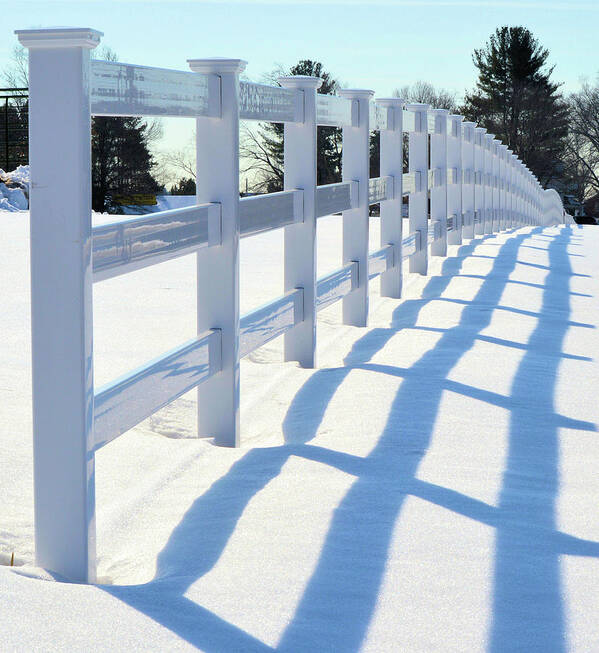 Winter Poster featuring the photograph Fence Shadow by Charles HALL