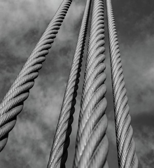 San Francisco Poster featuring the photograph Golden Gate Cables by Rand Ningali