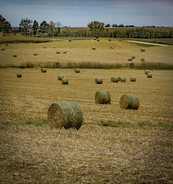 Hay Field Poster featuring the photograph Iowa Hayscape by Ray Congrove
