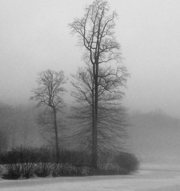 Black And White Poster featuring the photograph Misty Winter Day by GeeLeesa Productions