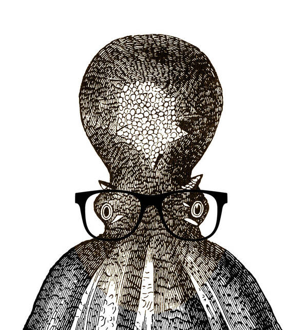 Frank Tschakert Poster featuring the drawing Octopus Head by Frank Tschakert