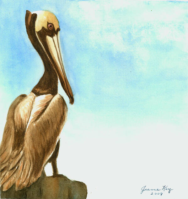 Birds Poster featuring the painting Pelican by Jeanne Juhos