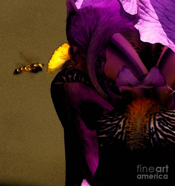 Bee Poster featuring the photograph Pheromone by Linda Shafer