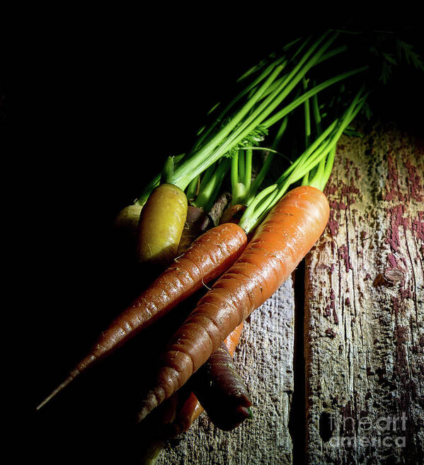 Carrot Poster featuring the photograph Rainbow Carrots by Deborah Klubertanz