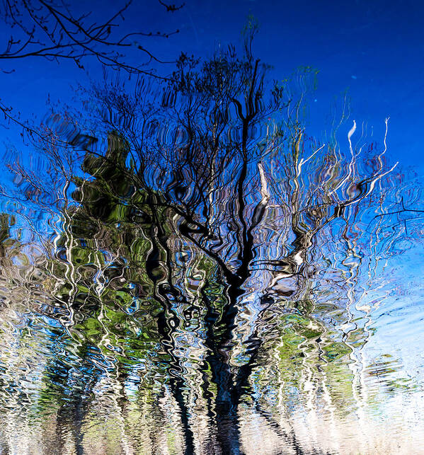 Reflection Poster featuring the photograph Rippled Reflection by Robert McKay Jones