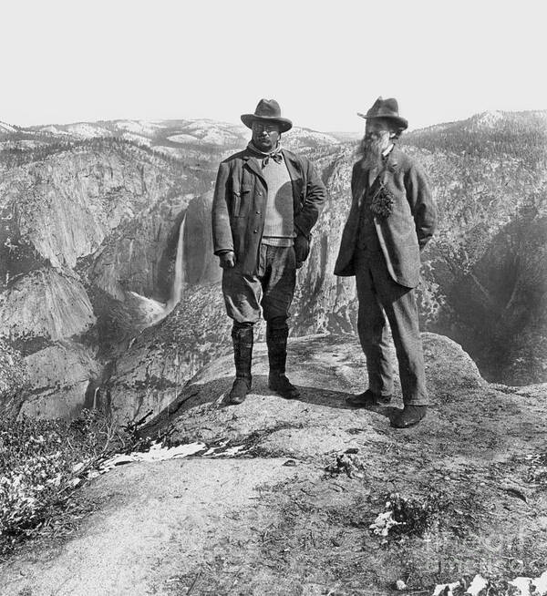 1906 Poster featuring the photograph Roosevelt & Muir by Granger