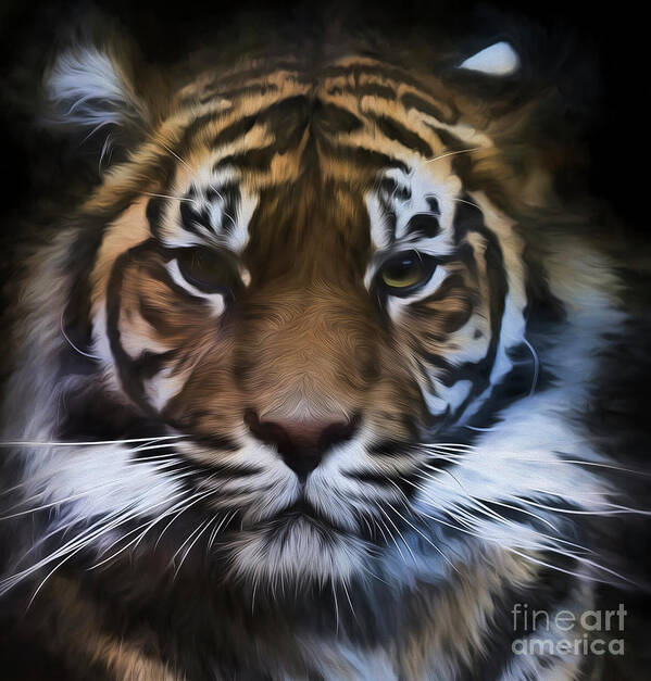 Sumatran Tiger Poster featuring the photograph Sumatran tiger by Sheila Smart Fine Art Photography