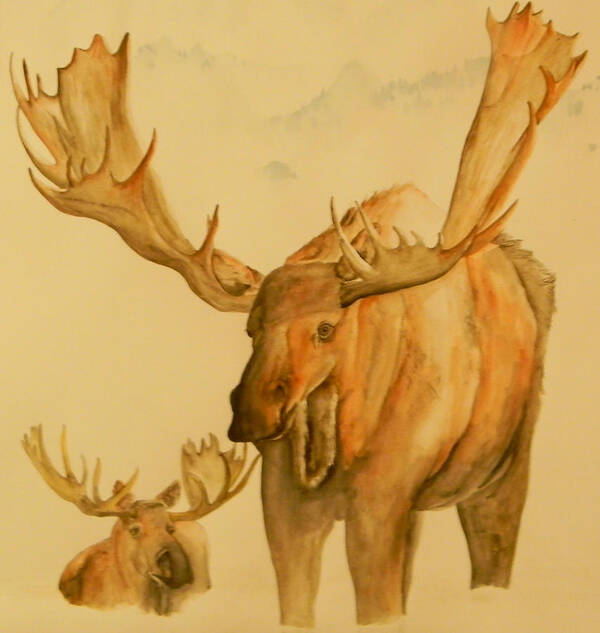 Mammals. Moose. Mountains Poster featuring the painting Two Water Horses by Debbi Saccomanno Chan