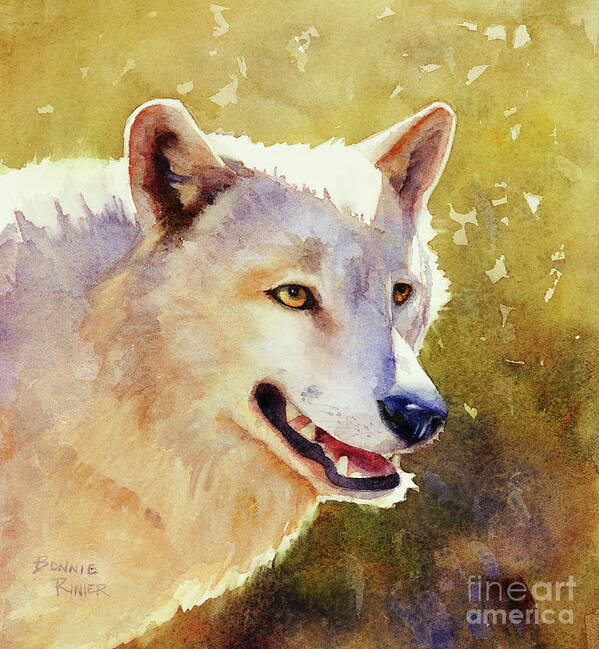 Nature Poster featuring the painting Wolf in Morning Light by Bonnie Rinier