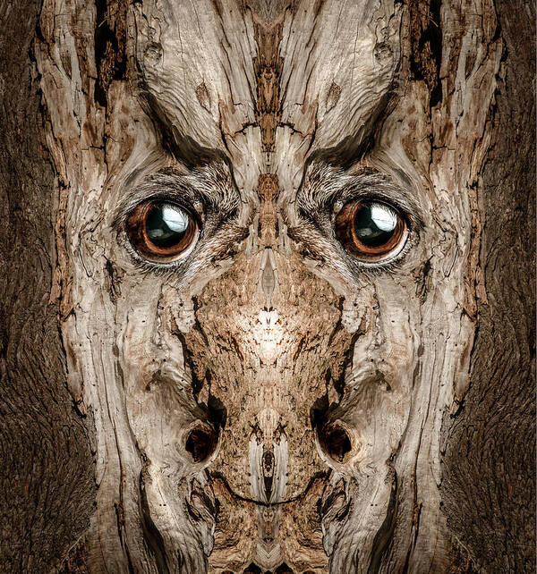 Wood Poster featuring the digital art Woody 188 by Rick Mosher