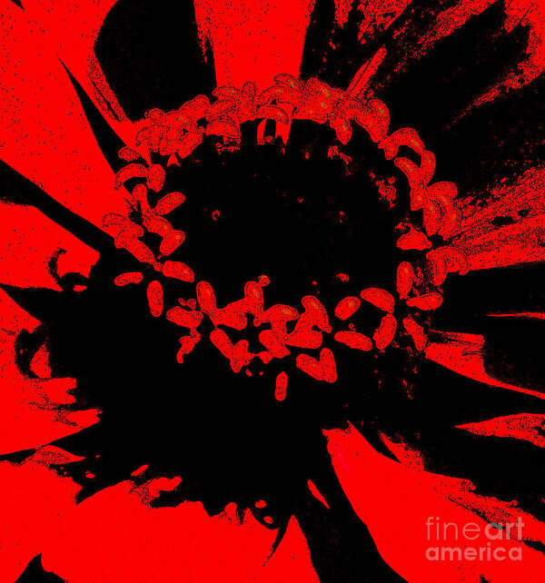 Zinnia Poster featuring the photograph Zinnia Crown by Jeanette French