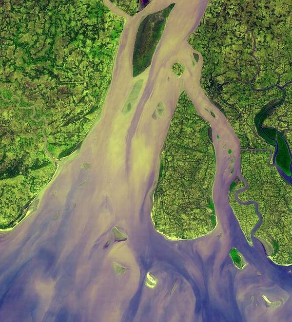 Earth Poster featuring the painting Hugli River, part of the Ganges Delta,, NASA #1 by Celestial Images