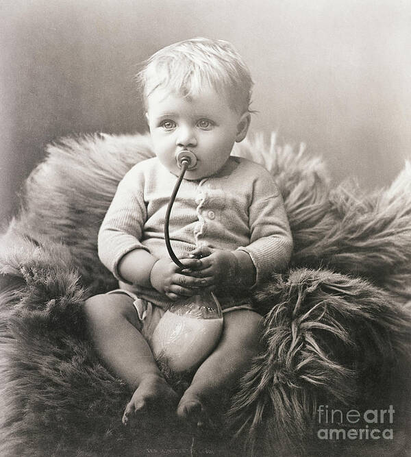 Rug Poster featuring the photograph Baby Boy On Bear Rug Sucking On Milk by Bettmann