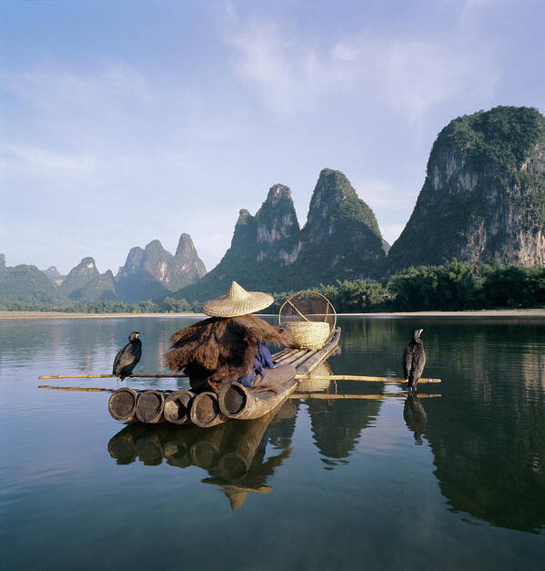 Three Quarter Length Poster featuring the photograph Comerant Fisherman On Li River by Martin Puddy