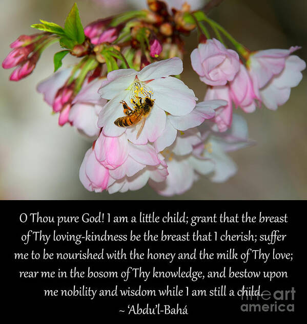 Prayers Poster featuring the photograph I Am A Little Child, No. 1 by Baha'i Writings As Art