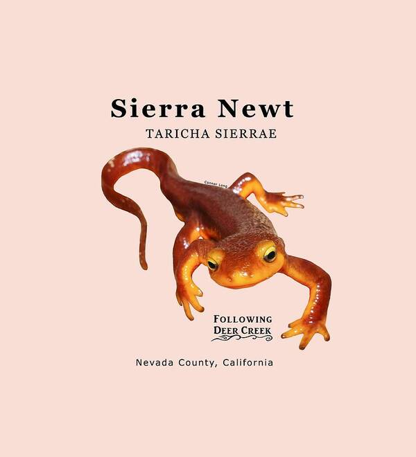 Newt Poster featuring the digital art Sierra Newt - Black text by Lisa Redfern