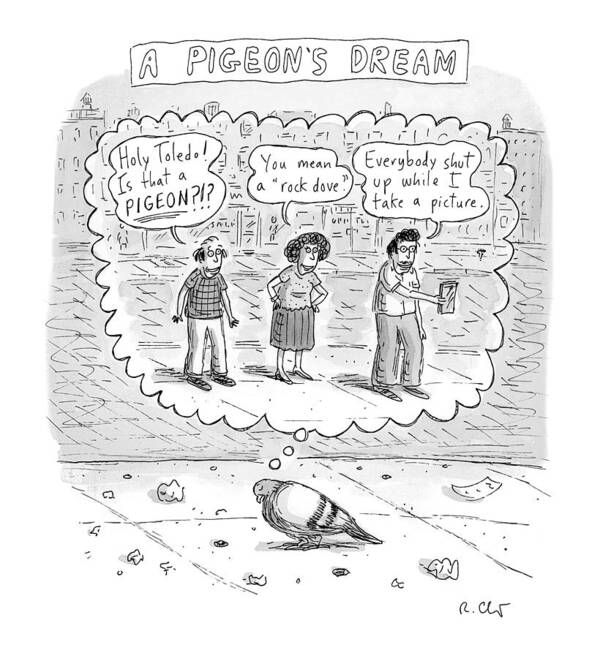A25382 Poster featuring the drawing A Pigeon's Dream by Roz Chast