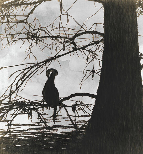 Anhinga Pen And Ink Poster featuring the painting Anhinga Pen and Ink by Kandy Hurley