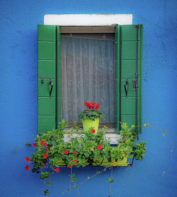 Burano Poster featuring the photograph Blue Burano Window by David Downs