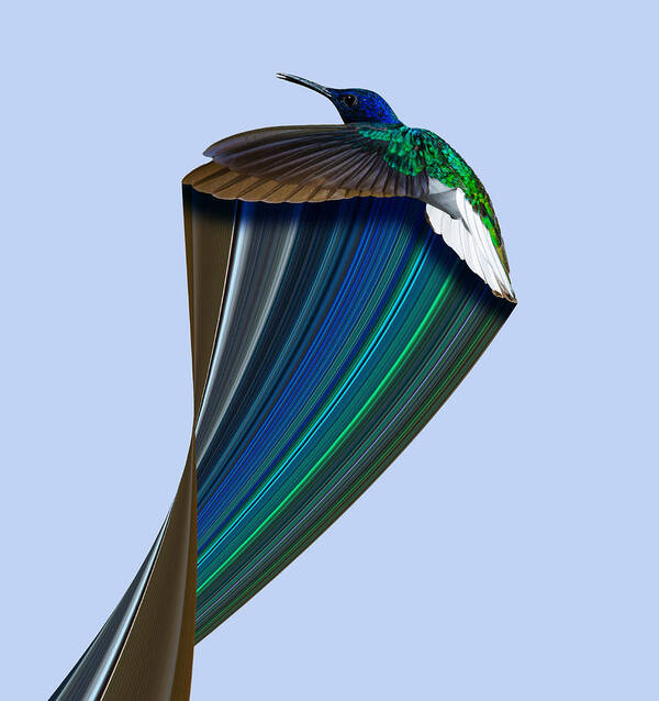 Exotic Poster featuring the digital art Hummingbird Pixel Stretch 2 by Pelo Blanco Photo