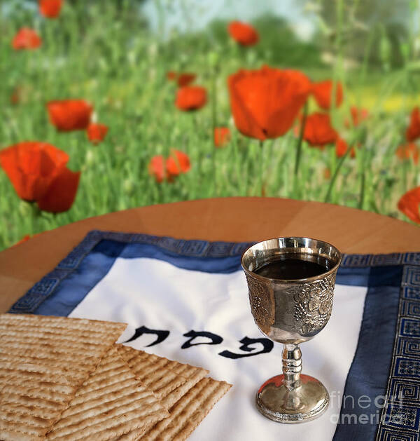 Passover Poster featuring the photograph Passover with poppies by Stella Levi