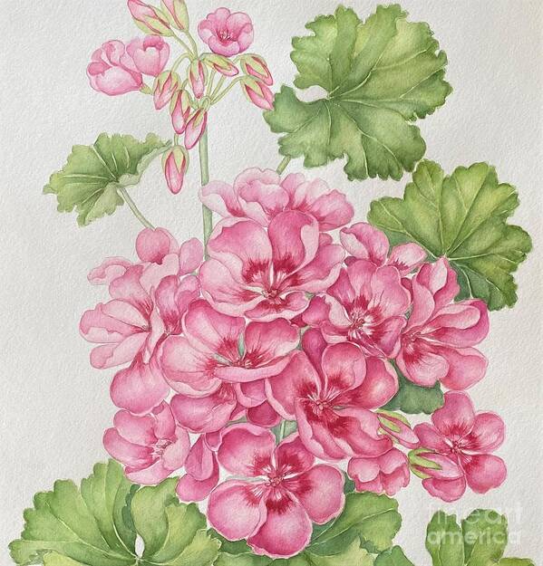 Geranium Poster featuring the painting Pink rose geranium, close-up by Inese Poga