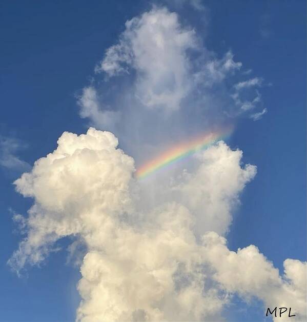 Rainbow Poster featuring the photograph Rainbow Beauty by Marian Lonzetta