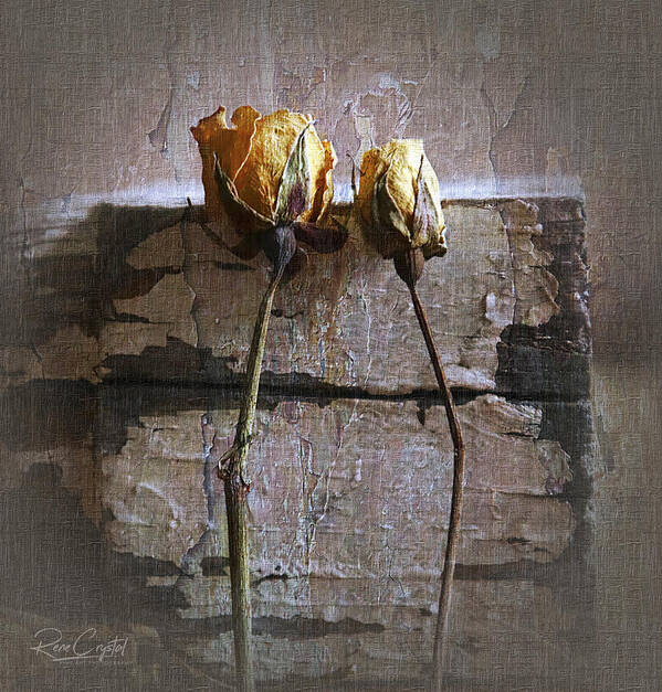 Roses Poster featuring the photograph Rustic Roses by Rene Crystal