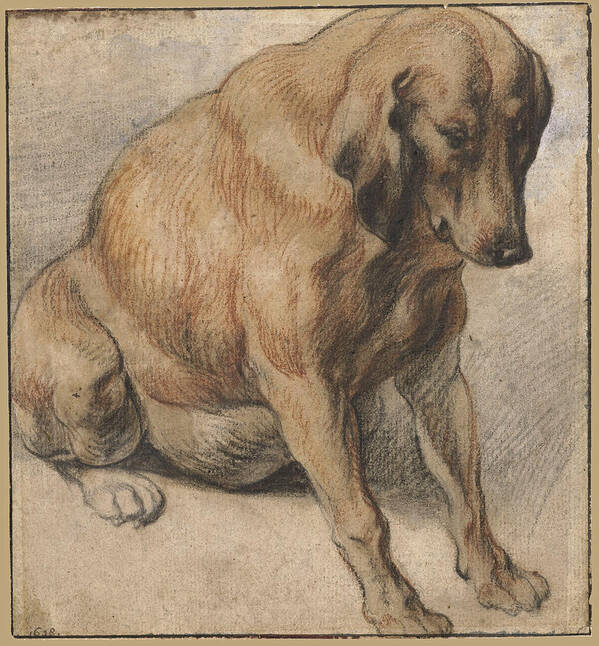 Jacob Jordaens Poster featuring the painting Seated Dog by Jacob Jordaens