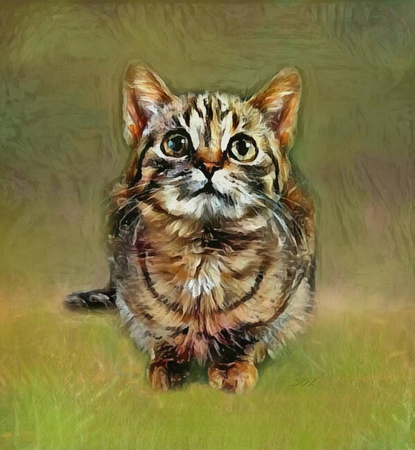 Tabby Poster featuring the mixed media Tabby Cat Curiosity by Sandi OReilly