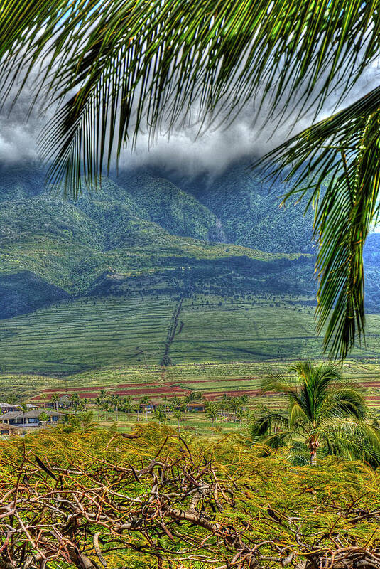 Landscape Poster featuring the photograph Maui Foot Hills by Arthur Fix