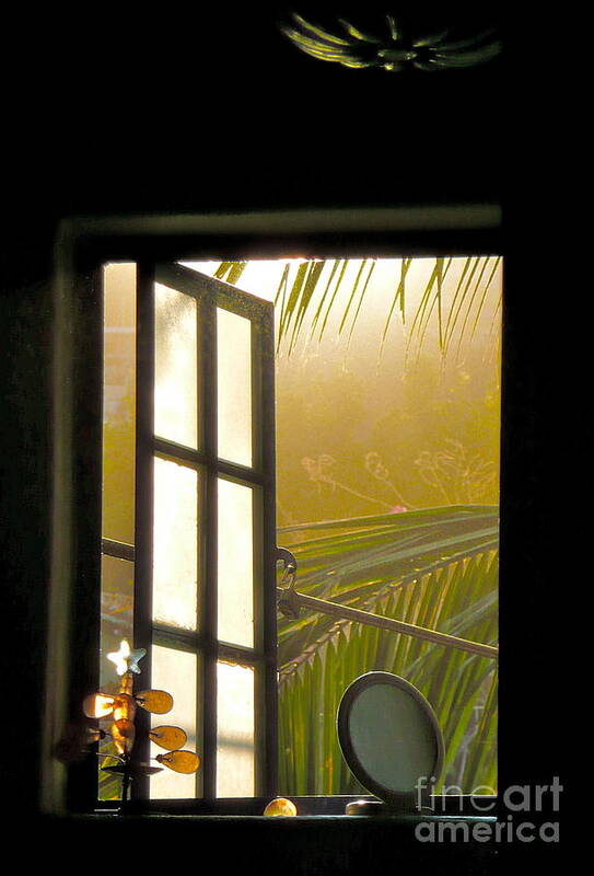 Open Window Poster featuring the photograph Window to the Soul #2 by Amy Fearn